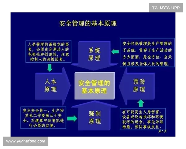 从零基础到专业高手:工程学实践与理论全面解析与制作指南 从零基础到专业高手:工程学实践与理论全面解析与制作指南