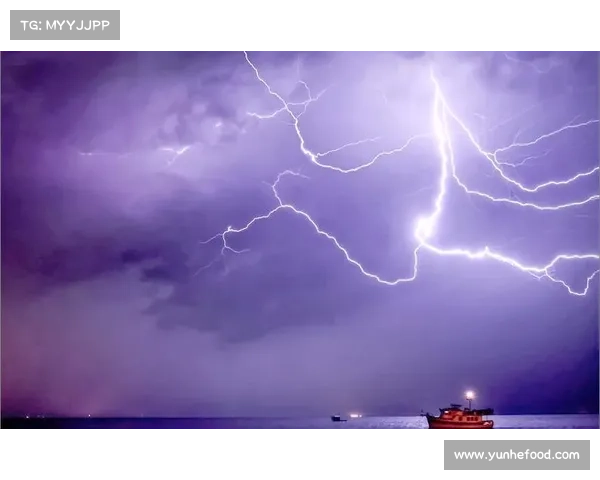 揭示雷电奥秘与人类智慧防御探索自然力量的科学征程 揭示雷电奥秘与人类智慧防御探索自然力量的科学征程